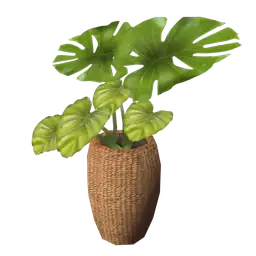 Wanderlust Contemporary Edge Monstera Wicker Vase