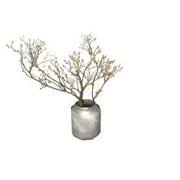 Wanderlust Dahlia Plant