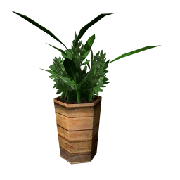 Wanderlust Nyumbani Kijani Plant