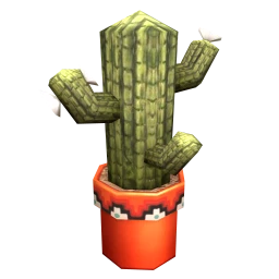 Oaxaca Juana Cactus Plant