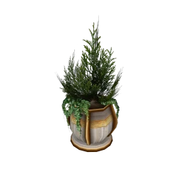 Wanderlust Athenian Fern Plant