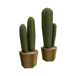 Denmoza Tropicana Cactus