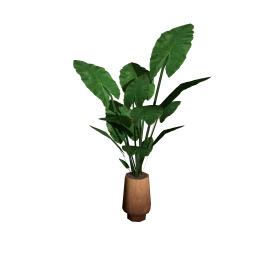 Wanderlust Whirlpool Maitri Potted Plant