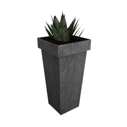 Wanderlust Whirlpool Brahman Potted Plant