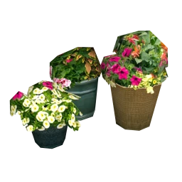 Viooltje Trio of Flowers