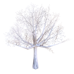 Snow Covered Winter Tree