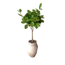 Joseline Potted Plant