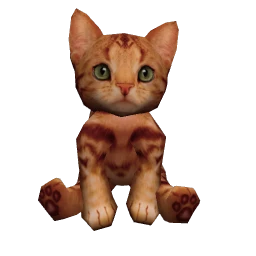 Ginger Shorthair Cat