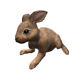 Bunny - Brown