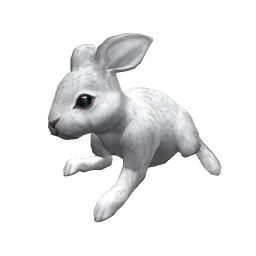 Bunny - White