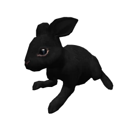 Bunny - Black