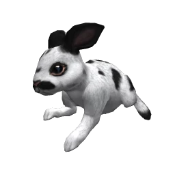 Bunny - Spotted