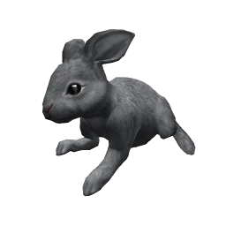 Bunny - Grey