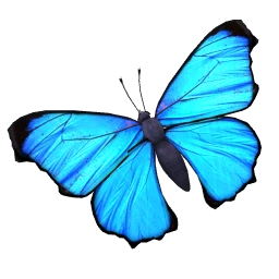 Electric Blue Butterfly