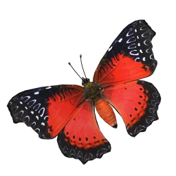 Ruby Butterfly