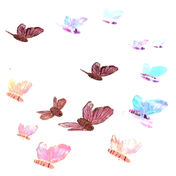 Fluttering Flock Of Butterflies