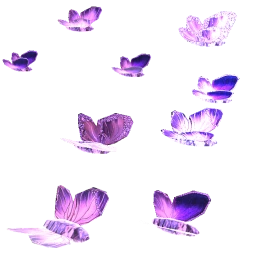 Fluttering Flock Of Purple & Silver Butterflies
