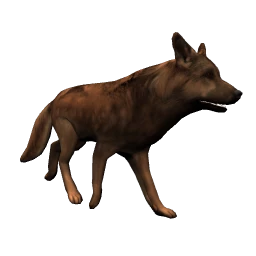 Wolf - Brown