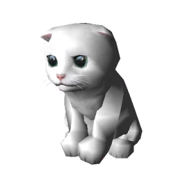 Kitten - White