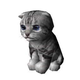 Kitten - Grey with black stripes