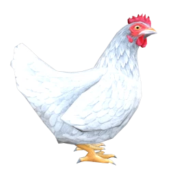 Chicken (White)