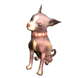 Chihuahua - Brown