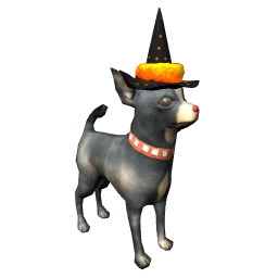 Chihuahua Witch