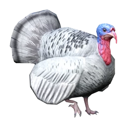 Turkey (White)