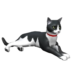 Cat - Thomas Two-Tone