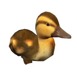 Duckling -  Brown