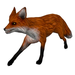 Foxglove Fox