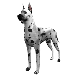 Great Dane - Harlequin