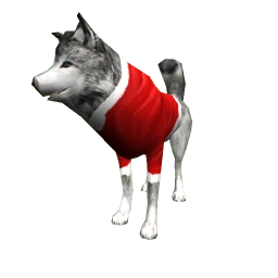 Husky with Santa Coat