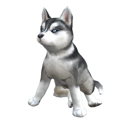 Husky Puppy - Black