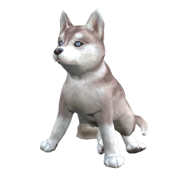 Husky Puppy - Brown