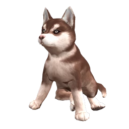 Husky Puppy - Dark Brown