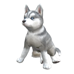 Husky Puppy - Grey