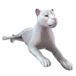 White Panther