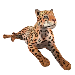 Jaguar 