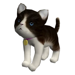 Tabby and White Kitten