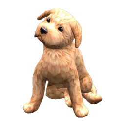 Labradoodle (Golden)