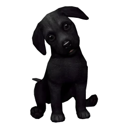 Labrador Puppy - Black