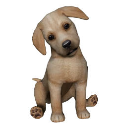 Labrador Puppy - Golden