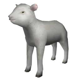 Lamb