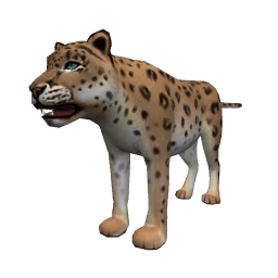 Leopard