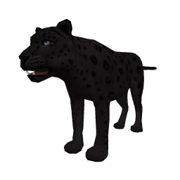 Black Leopard