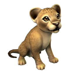 Lion Cub