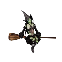 Witch On Broom