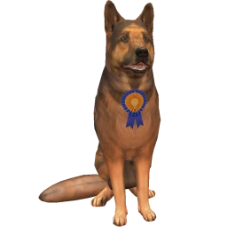 Best In Show Legend Status German Shepherd