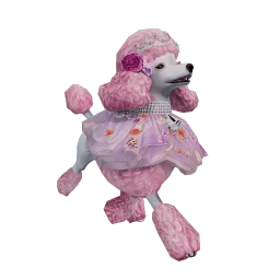 Blossom Poodle